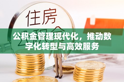 太麻里公积金管理现代化，推动数字化转型与高效服务