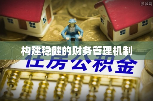 太麻里构建稳健的财务管理机制