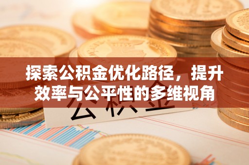 太麻里探索公积金优化路径，提升效率与公平性的多维视角