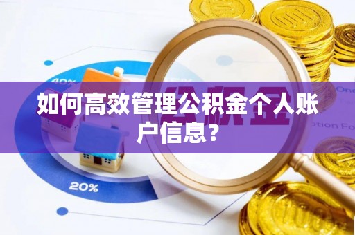 太麻里如何高效管理公积金个人账户信息？