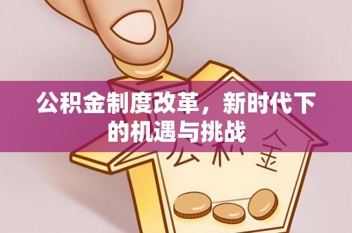 太麻里公积金制度改革，新时代下的机遇与挑战