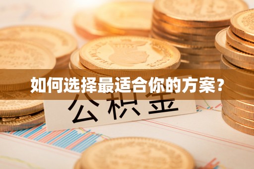 太麻里如何选择最适合你的方案？