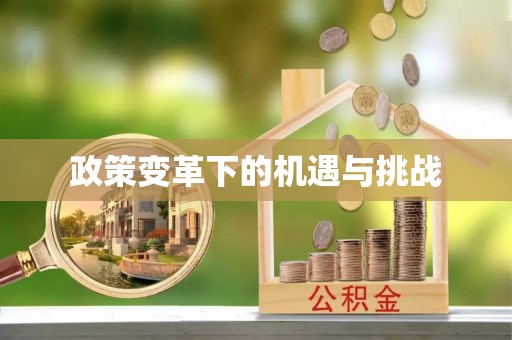 太麻里政策变革下的机遇与挑战