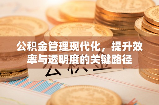 太麻里公积金管理现代化，提升效率与透明度的关键路径