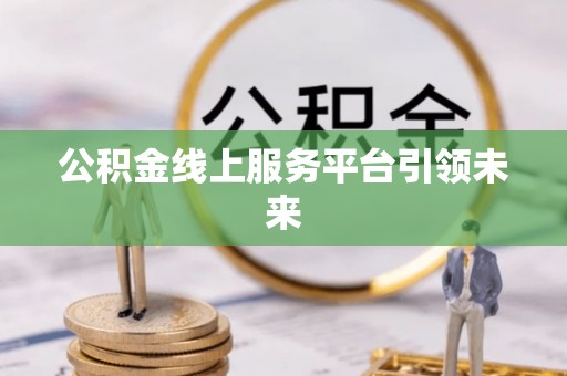 太麻里公积金线上服务平台引领未来