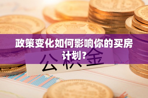 太麻里政策变化如何影响你的买房计划？