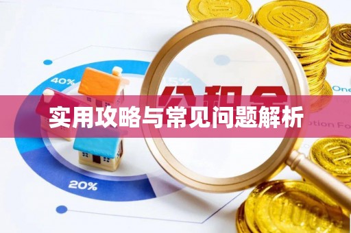 太麻里实用攻略与常见问题解析
