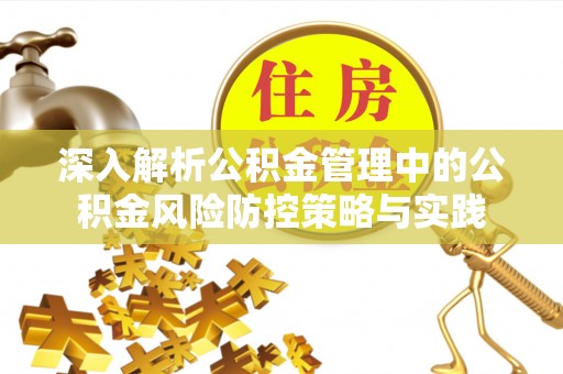 太麻里深入解析公积金管理中的公积金风险防控策略与实践