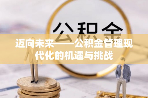 太麻里迈向未来——公积金管理现代化的机遇与挑战