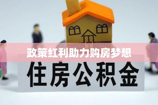 太麻里政策红利助力购房梦想