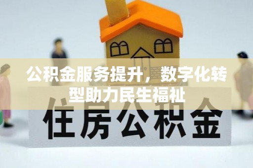 太麻里公积金服务提升，数字化转型助力民生福祉