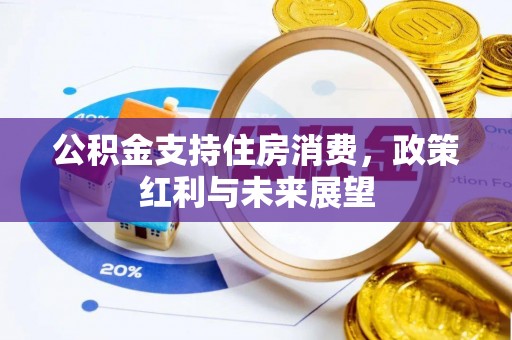 太麻里公积金支持住房消费，政策红利与未来展望