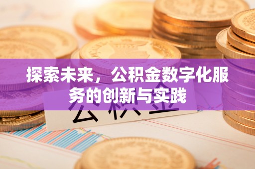 太麻里探索未来，公积金数字化服务的创新与实践
