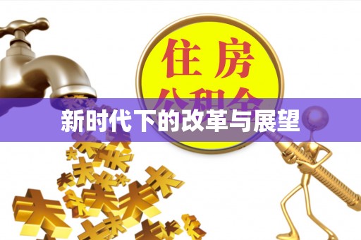 太麻里新时代下的改革与展望