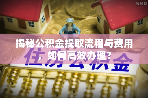 太麻里揭秘公积金提取流程与费用，如何高效办理？