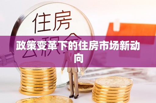 太麻里政策变革下的住房市场新动向