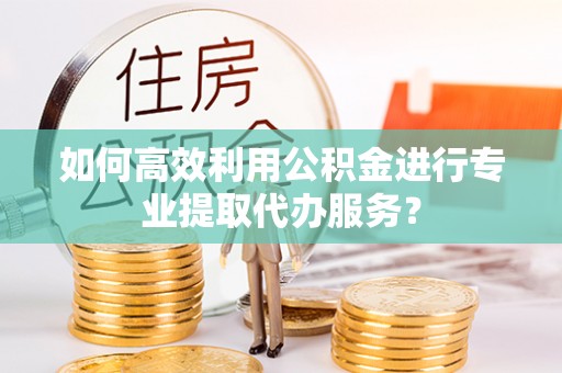 太麻里如何高效利用公积金进行专业提取代办服务？