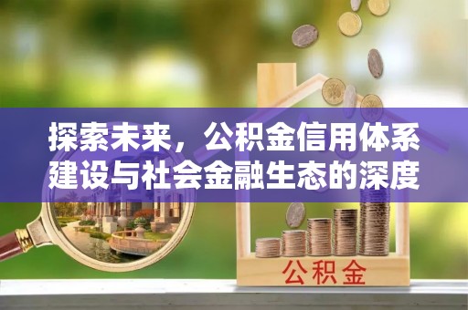 太麻里探索未来，公积金信用体系建设与社会金融生态的深度融合