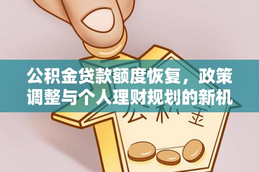 太麻里公积金贷款额度恢复，政策调整与个人理财规划的新机遇