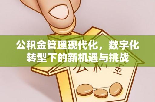 太麻里公积金管理现代化，数字化转型下的新机遇与挑战