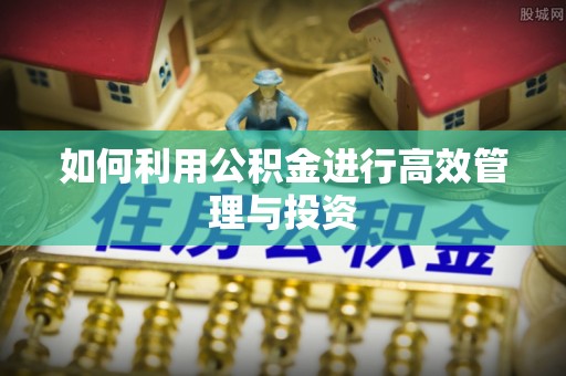 太麻里如何利用公积金进行高效管理与投资