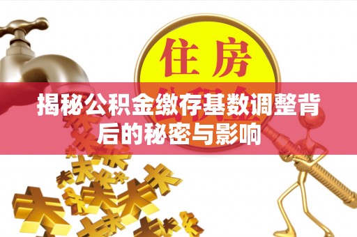 太麻里揭秘公积金缴存基数调整背后的秘密与影响
