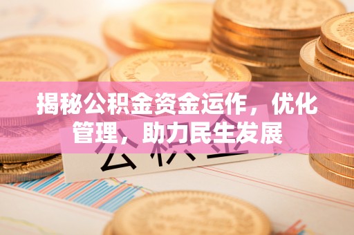 太麻里揭秘公积金资金运作，优化管理，助力民生发展