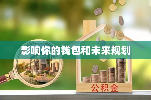 太麻里影响你的钱包和未来规划