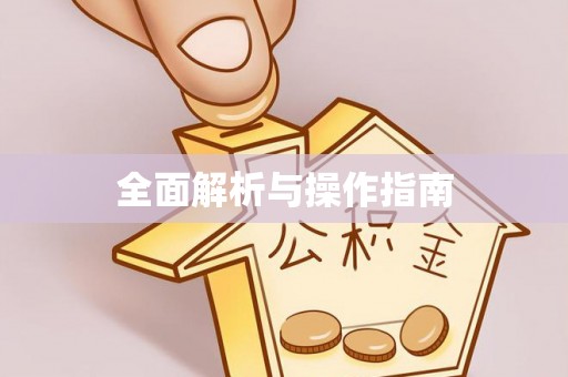太麻里全面解析与操作指南