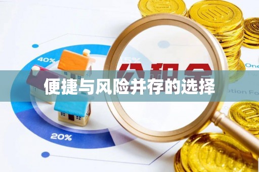 太麻里便捷与风险并存的选择