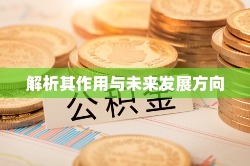 太麻里解析其作用与未来发展方向