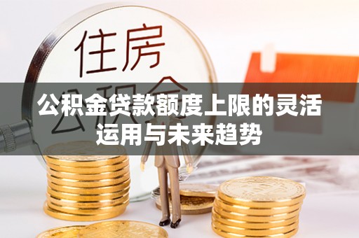 太麻里公积金贷款额度上限的灵活运用与未来趋势